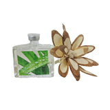 DIFFUSER LEMON& CITRONELLA