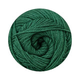 ELLE ARAN 300G FERN