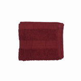 BRISTOL EGYPTIAN 30 X 50 BURGANDY