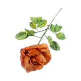 PAPER ROSE