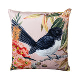 SCATTER CUSHION + INNER 50X50 - WILLIE WAGTAIL
