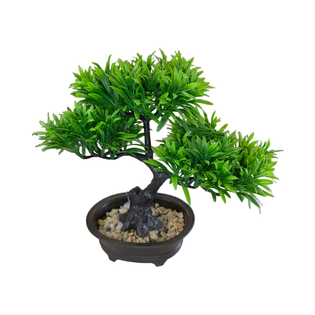 BONSAI POT PLANT Dubai Centre