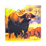 CUSHION COVERS BUFFALO