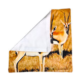 CUSHION COVERS SPRINGBOK