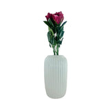 ROSEBUD 4LAYER 6PK MAROON