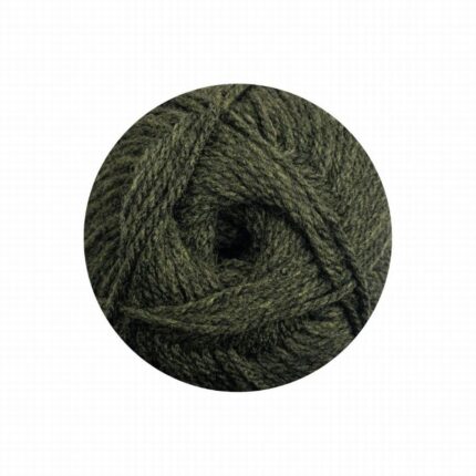 CHARITY P/S 100G -SEAWEED