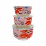 FOOD STORAGE CONTAINEER 3PCS