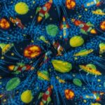 150CM PRINTED POLER FLEECE - Image 2