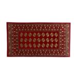 AMINA CARPET 67 X 120 913/DZ2/R