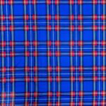 Printed Mini Matt (150CM) Royal Tartan