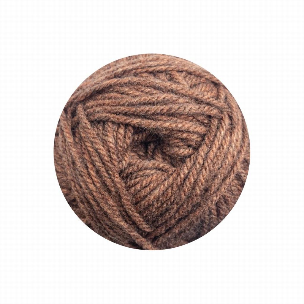 61555F049231.jpg CLASSIC WOOL ARAN 100G - BRONZE - Image 1