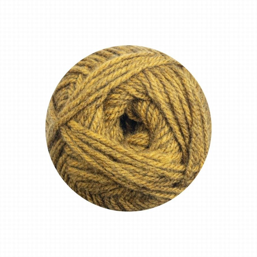 61555F157231.jpg CLASSIC WOOL ARAN 100G - AMBER - Image 1