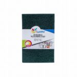 10PC SCOURING PAD AY058