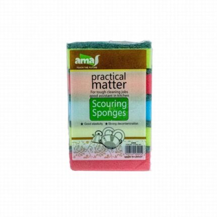 5PC SCOURING SPONGE AY058