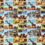 150CM PRINTED VINYL - SAVANNA