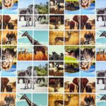 150CM PRINTED VINYL - SAVANNA - Image 2