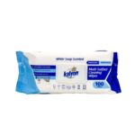 MULTISURFACE CLEANING WIPES 100PCS (21X22)