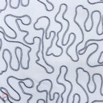 EMBROIDED COTTON MUSLIN