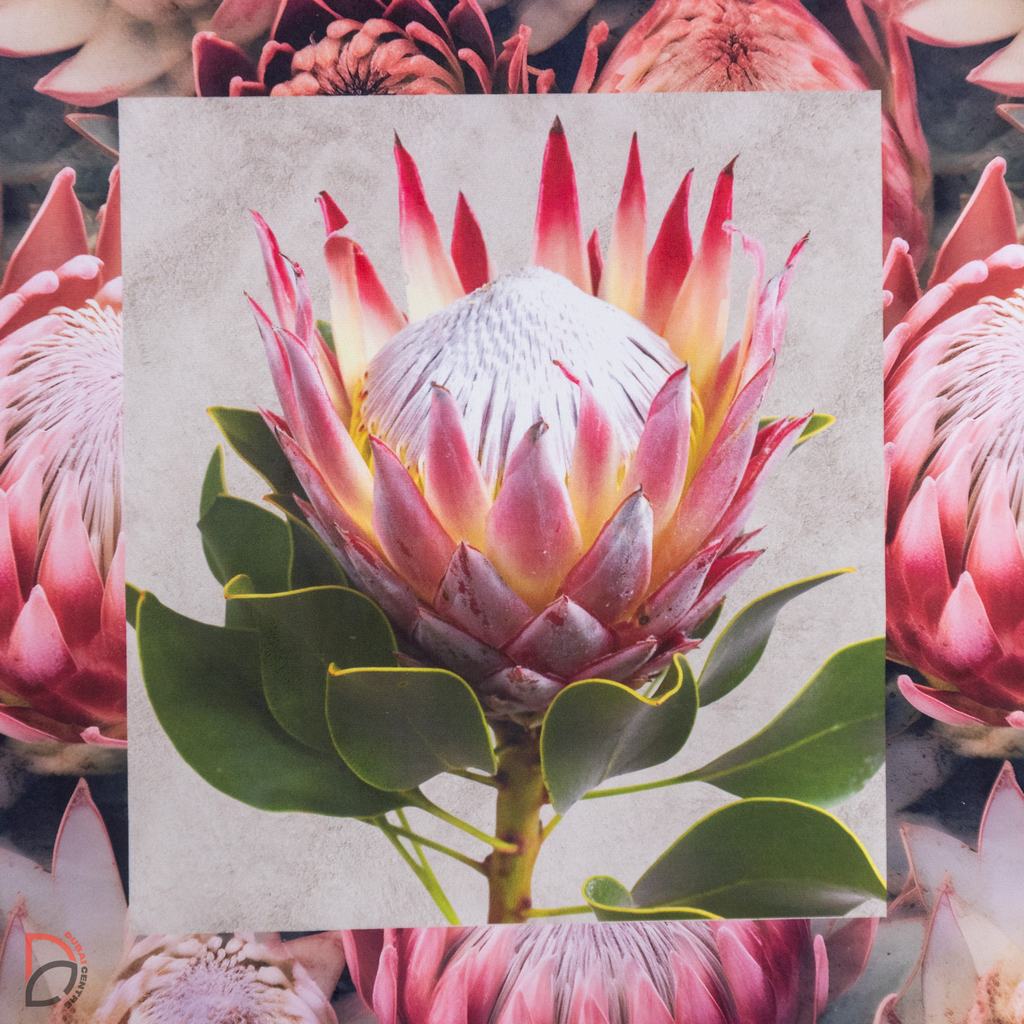 140VSP5FPT-2.jpg VELVET SCATTER 0.63cm PER PANEL - PROTEA PANELS - Image 1