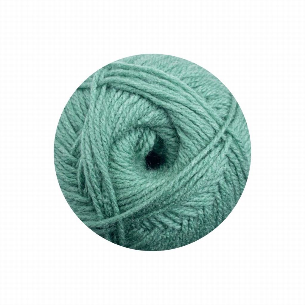 60042D15F256231.jpg ELLE PULLSKEIN 100G - FERN - Image 1