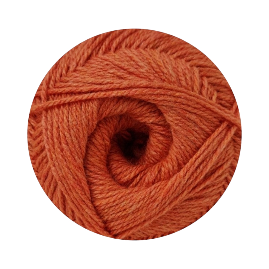 90095F701231-2.jpg CHARITY P/S 300G-PUMPKIN - Image 1