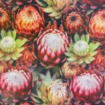 150CM PRINTED VINYL - PROTEA ALL OVER - Image 2