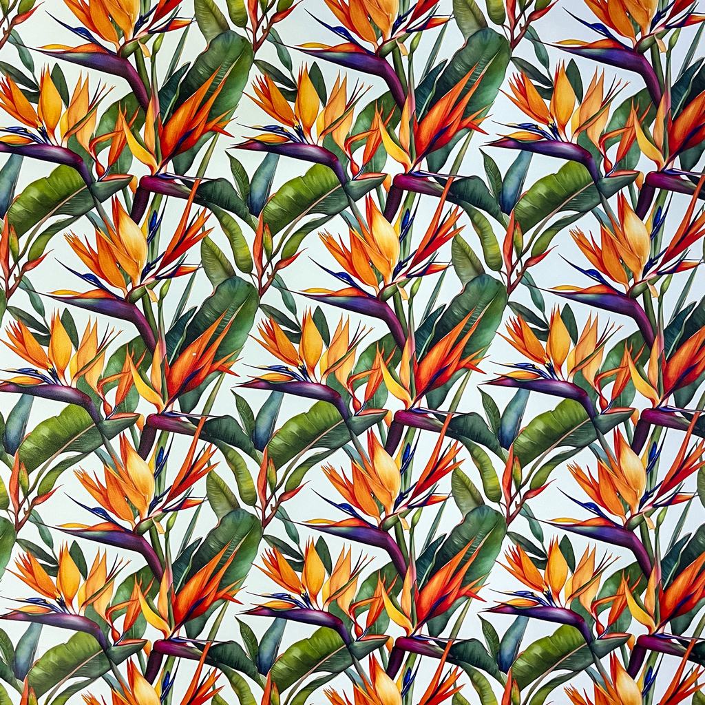 MP2DVINYL255F20231.jpg 150CM PRINTED VINYL - STRELITZIA ALL OVER - Image 1