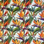 150CM PRINTED VINYL - STRELITZIA ALL OVER - Image 2