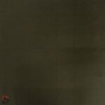 Poly Cracker Poplin Fabric