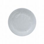 10PC PAPER PLATES