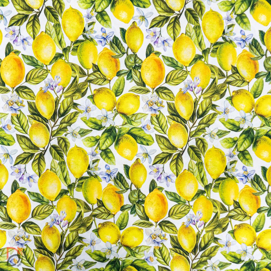 150PMM5F652231-1.jpg Printed Mini Matt (150cm) - Image 1