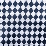 Printed Carnival Satin